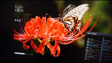 BenQ PD3200U Menu System (OSD)