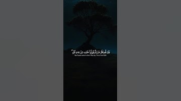 اكتب شيء تؤجر عليه ❤️🎧 #القارئ ياسر الدوسري