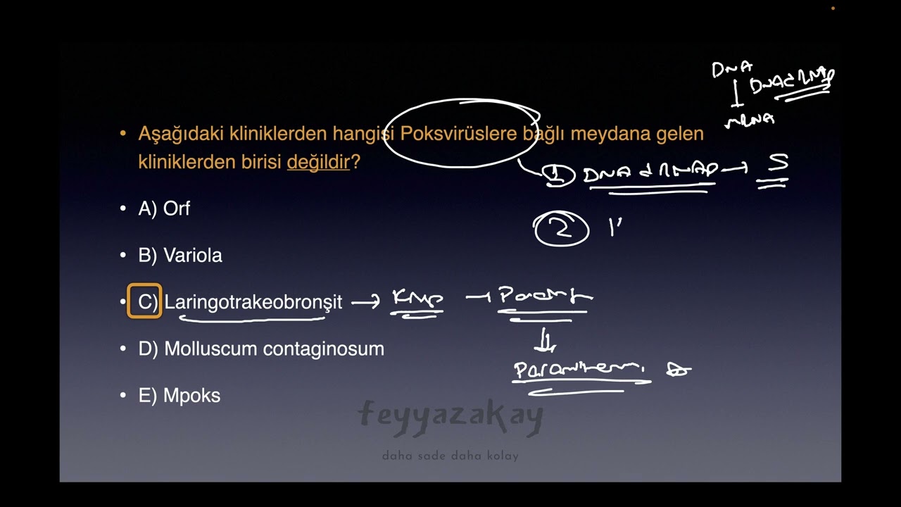 FA 5 DK SORU (POKSVİRÜSLER)