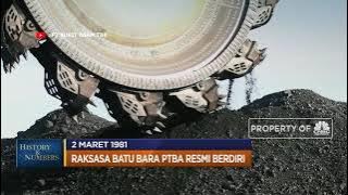Raksasa Batu Bara PTBA Resmi Berdiri