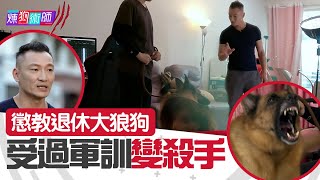 屈臣氏 Wats Petmacy 寵物藥妝呈獻：煉狗術師III｜EP9 Part1｜懲教退休大狼狗 受過軍訓變殺手！｜ Eric Ko ｜ 鄺芷凡 ｜狼狗｜HOY｜HOYTV