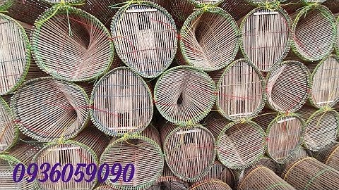 Bán lợp tép, bán lợp cá bóng dừa, bán lợp cá chạch, 0936059090 ship toàn quốc.