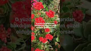 Bir Insanın Güzelliği Nin Sırrı Nerdedir Isözler