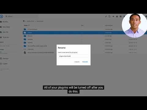 Deactivate all WordPress Plugins