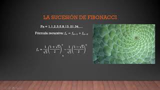 Curso Completo de Cálculo Diferencial: las sucesiones (1) (1/16)
