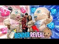 OUR OFFICIAL GENDER REVEAL!!! | Nyree & Von