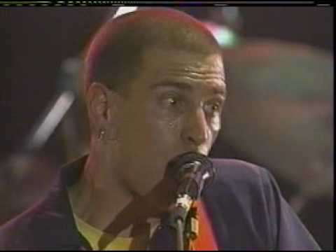 Dog's Eye View Live - Everything Falls Apart