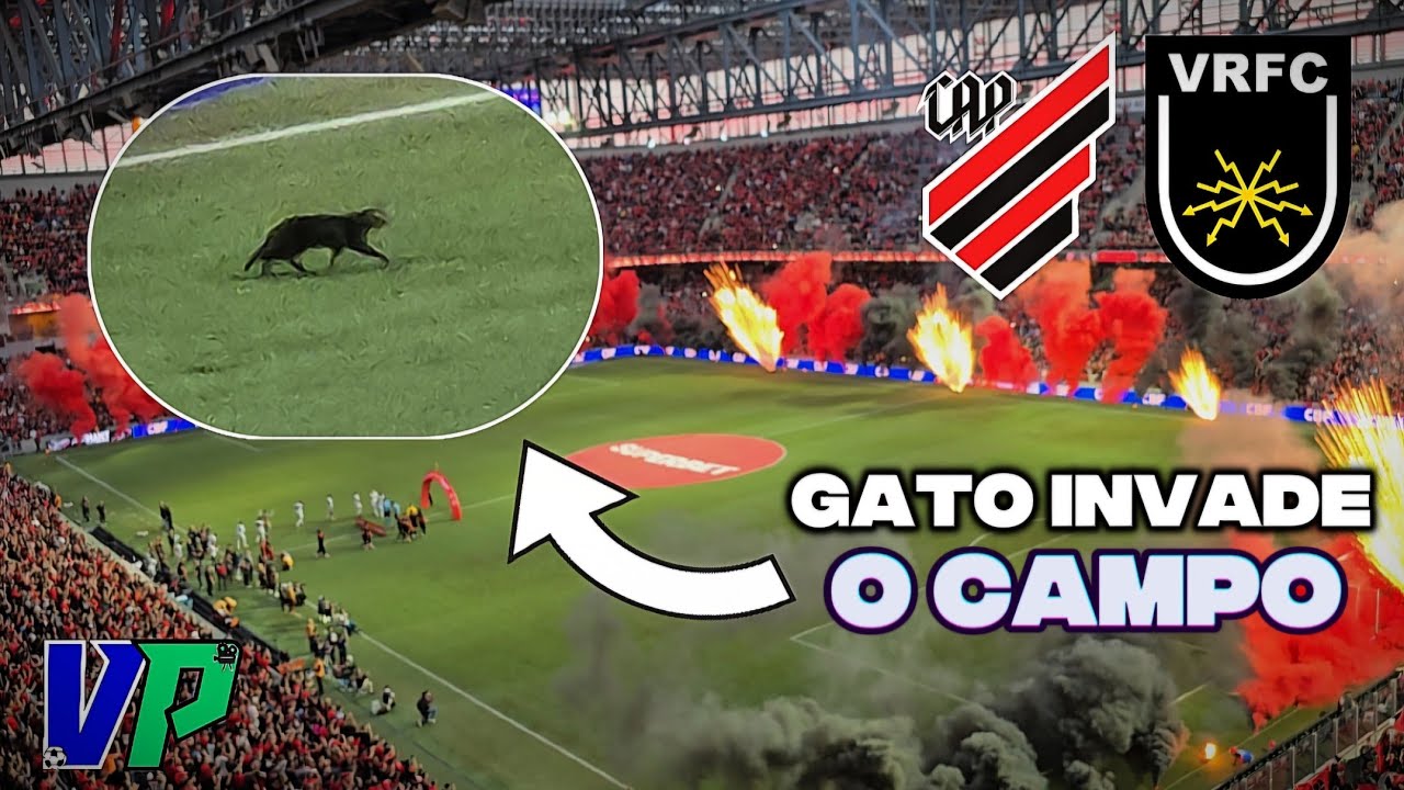 GATO INVADE CAMPO na VITÓRIA do ATHLETICO-PR no CALDEIRÃO LOTADO! | Athletico-PR 2 X 0 Volta Redonda