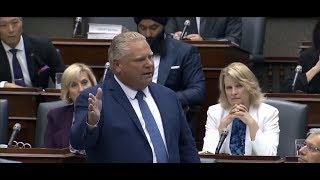Doug Ford "I think the cheese has slipped off the cracker with this guy"