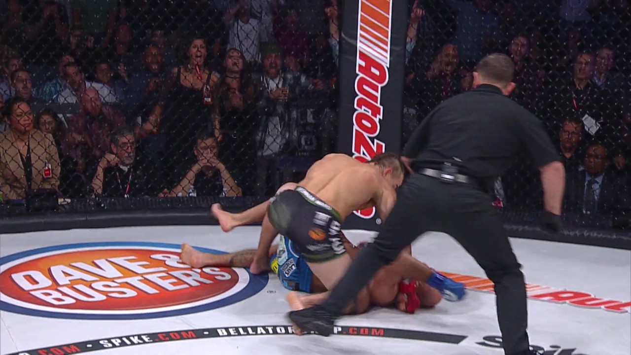 Bellator 170: What to Watch | Paul Daley vs Brennan Ward