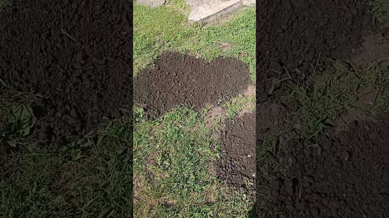 My new refurbished picnic table back yard