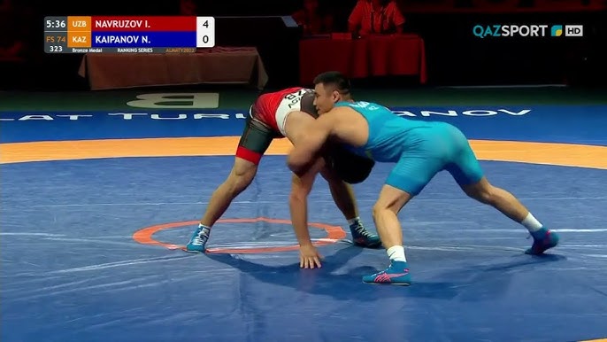 Корсет толып жатқан есектер