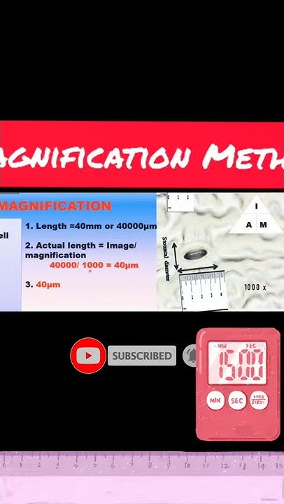 SHORTS TEST 3 | HOW TO CALCULATE ACTUAL LENGTH? | MAGNIFICATION METHOD ...