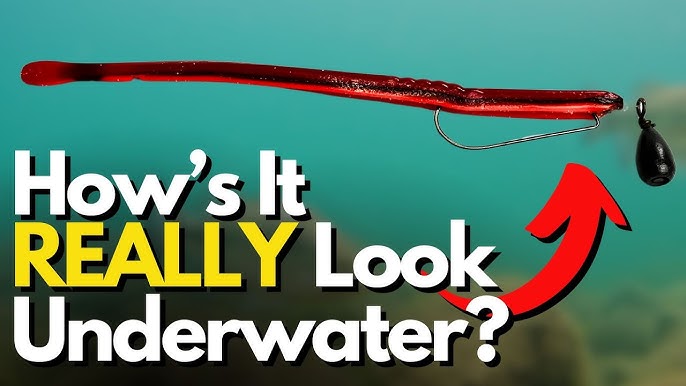 The Game-Changing TWIST On a Wacky Rig - Underwater Footage 