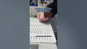 EGROECO: Transforming Packaging with Precision Automation