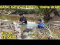 RATA2 MONSTER! BERTUALANG, MANCING UDANG DAN PASANG PERANGKAP HEWAN APAPUN DI MUARA SUNGAI