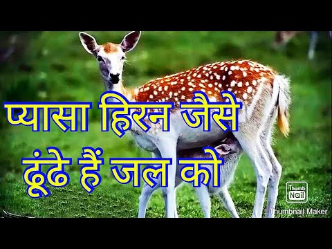 Like a thirsty deer is searching for water Like a thirsty deer is searching for water Devotional songs