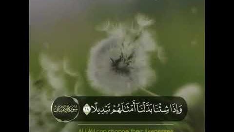 تلاوة تأخذ القلوب لأواخر سورة الإنسان للقارئ ياسر الزيلعي