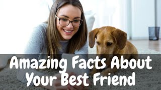 20 Dog Facts That Will Make You Even More Amazed by Your Best Friend by Dogs of YouTube 32 views 1 year ago 8 minutes, 7 seconds