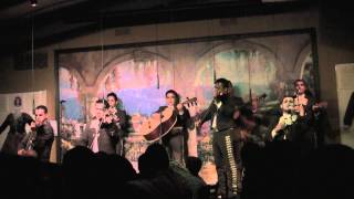 Video thumbnail of "Chapter 10 - Si Nos Dejan - Mariachi Sol de Mexico"