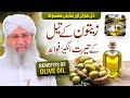 Dil Jawan  Aur Haddiyan Mazboot | Zaitoon Ke Fayde |Health Benefits of Olive Oil |Haji Shahid Attari