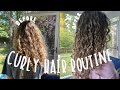 curly hair routine (not expensive)