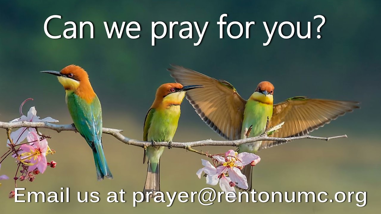 RENTON UNITED METHODIST ANNOUNCEMENTS FOR THE WEEK OF 1024 YouTube