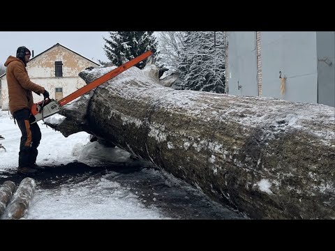 Видео: Шокируюащя находка на десятки тысяч долларов