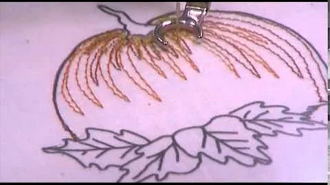 Nancy Prince: Pumpkin Patch