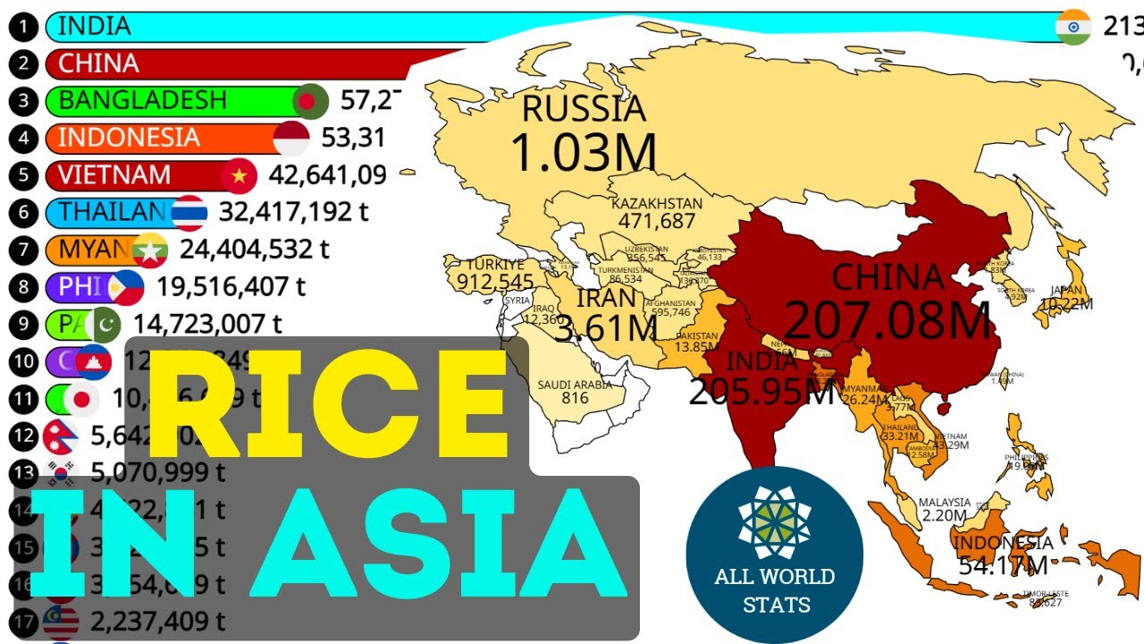 China vs India: Who Controls the World’s Rice Market? - YouTube