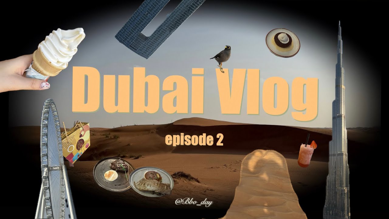 [🇦🇪두바이]4박 6일 아부다비+두바이 여행 브이로그 ep2 | 2월 두바이 | 두바이 사막 | 요트 투어 | 스테이크 맛집 | 분수쇼 