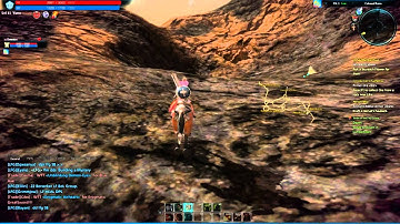 TERA Sneak Peek Bug Using