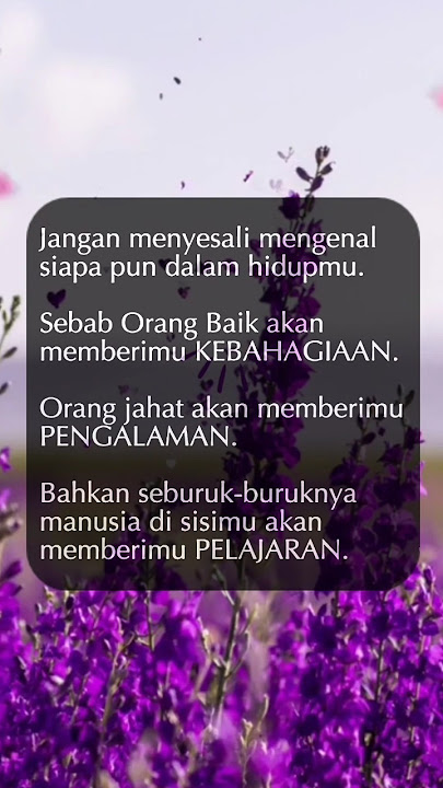 Motivational Words for Life | Status Updates | WhatsApp Stories