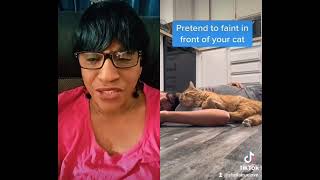 Pretend To Faint In Front Of Your Cat And Watch What Happens