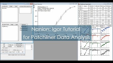 IGOR Patchliner Tutorial