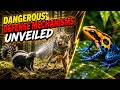 Which Harmless-Looking Animals Have Dangerous Defense Mechanisms? 🐢⚠️