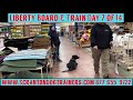 Scranton Dog Trainer: Liberty on Day 7 of 14 of the Board and Train Program Scranton Dog Trainer: Liberty on Day 7 of 14 of the Board and Train Program