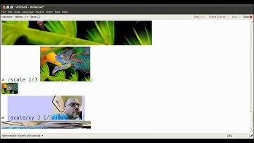 racket values video 1.9/4 --- transform images