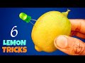 6 Amazing Lemon Tricks || Easy Science Experiments With Lemon
