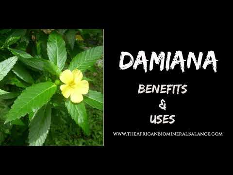 12 BENEFITS & USES OF DAMIANA