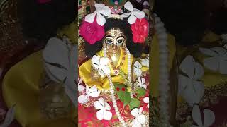 #krishnaconsciousness