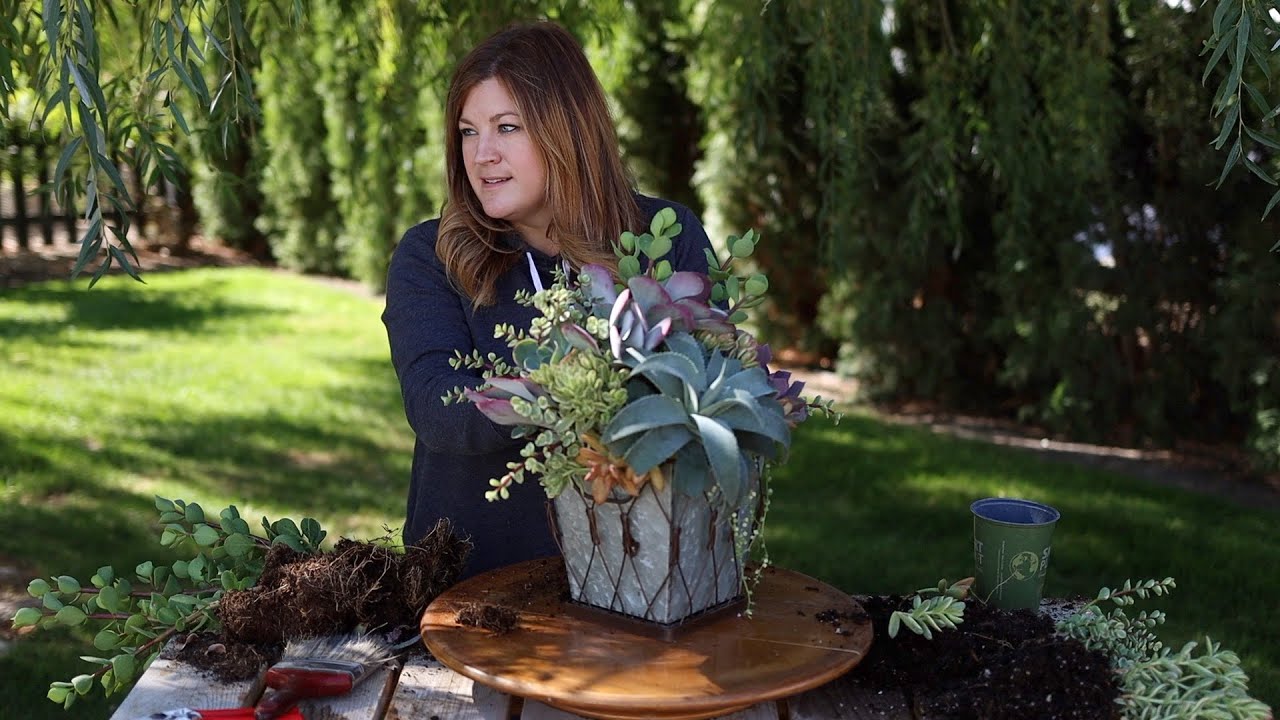 Создаём композицию из суккулентов в подарок на новоселье! 🪴🥰💜 // Garden Answer