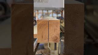 Cool slice #hemlock #sawmill