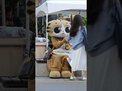 JHKTV]<strong>coco</strong> famous <strong>cat</strong> 유명한 코코 고양이