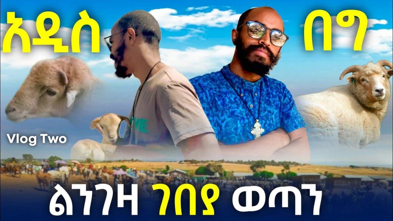 በግ ልንገዛ  ገበያ ስንሔድ ያጋጠመን ነገር!#yonasmequanint #vlog 