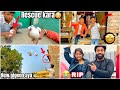 Havy bachhe  rescue kara  new pigeon aye  rip  vlog familyvlog