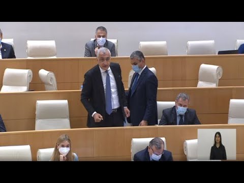 პრემიერის ანგარიში და საპარლამენტო დებატები