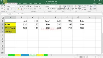 0204 Using Undo and Redo   Excel 2016 Essential Training