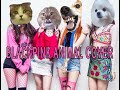 BLACKPINK - How You Like That (Animal Cover)