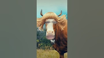 Thumbnail of la vaca Lola según mi hijo